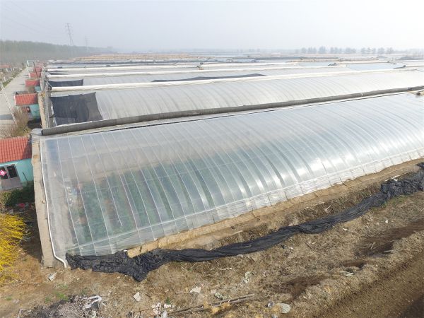 漲知識！專業溫室大棚建設要點